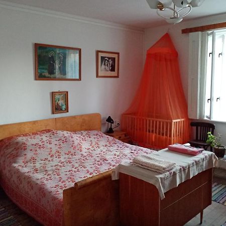Vinyl House Konuk evi Strekov Dış mekan fotoğraf