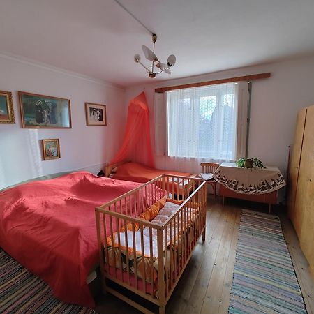 Vinyl House Konuk evi Strekov Dış mekan fotoğraf