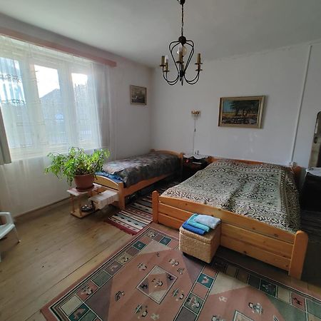 Vinyl House Konuk evi Strekov Dış mekan fotoğraf