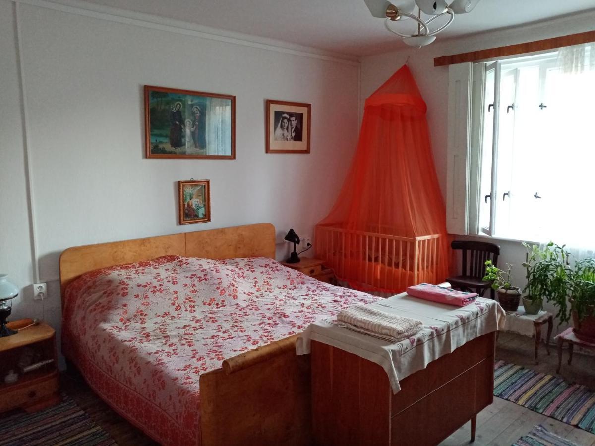 Vinyl House Konuk evi Strekov Dış mekan fotoğraf