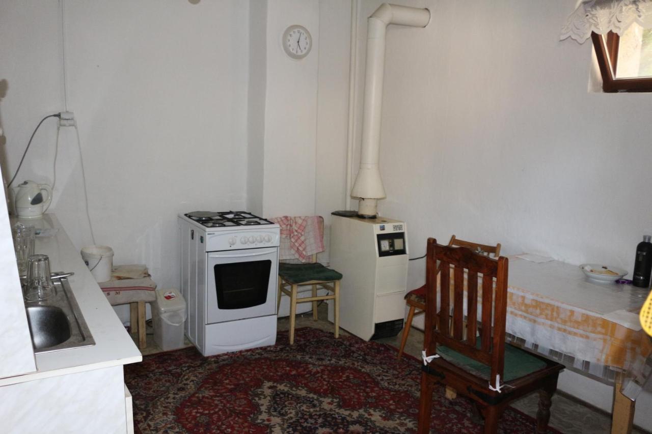 Vinyl House Konuk evi Strekov Dış mekan fotoğraf